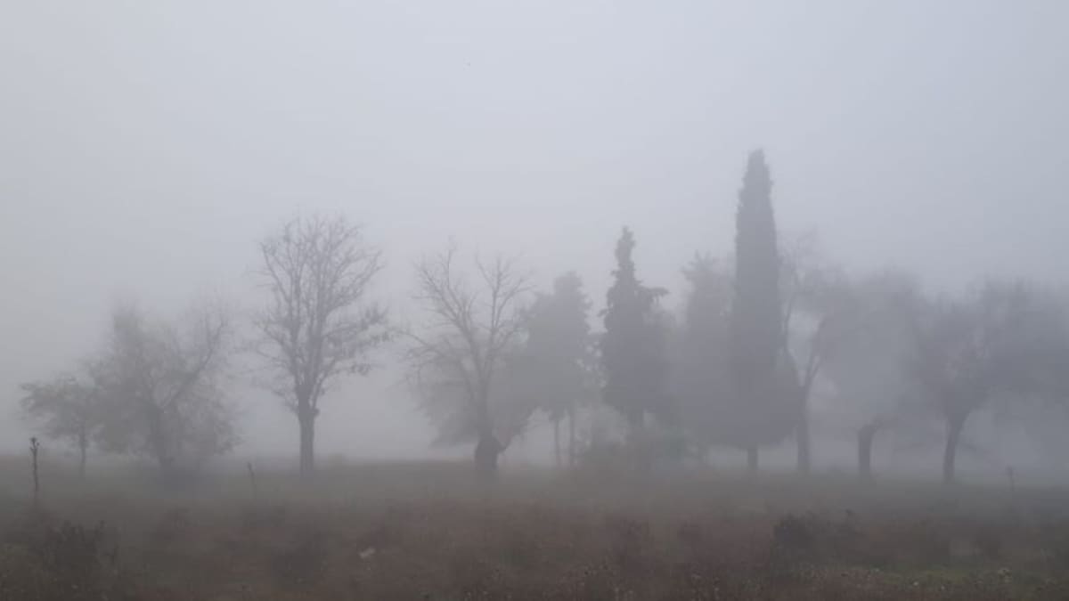 La niebla se instala en la provincia