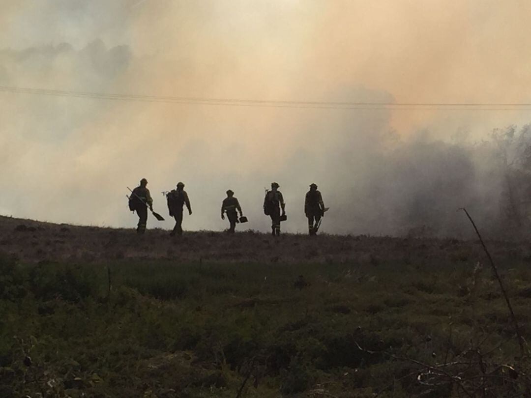 La reducción de los incendios en la comarca es de un 80% con relación a la última década