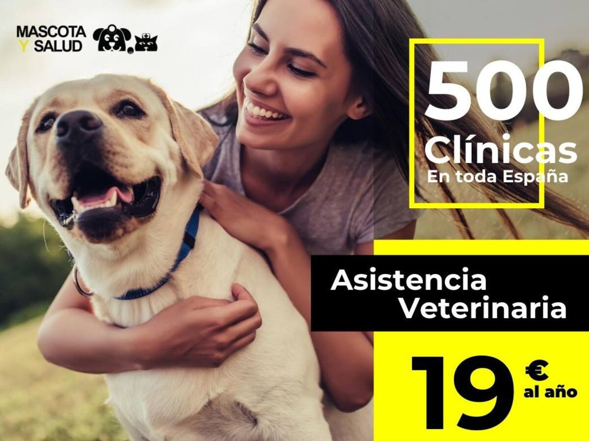 Los seguros de salud para mascotas no dejan de crecer en España