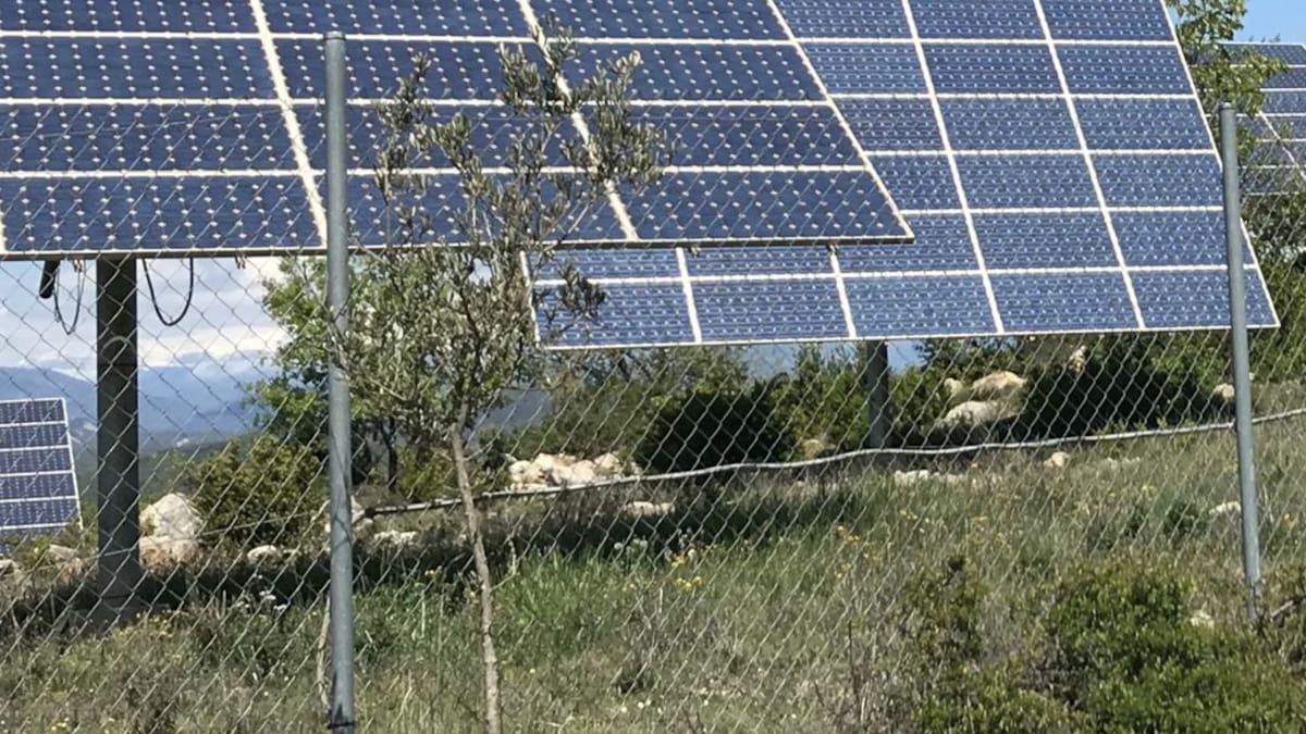 Cabañas de la Dornilla y Fresnedo firman la cesión de 370 hectáreas para dos parques solares