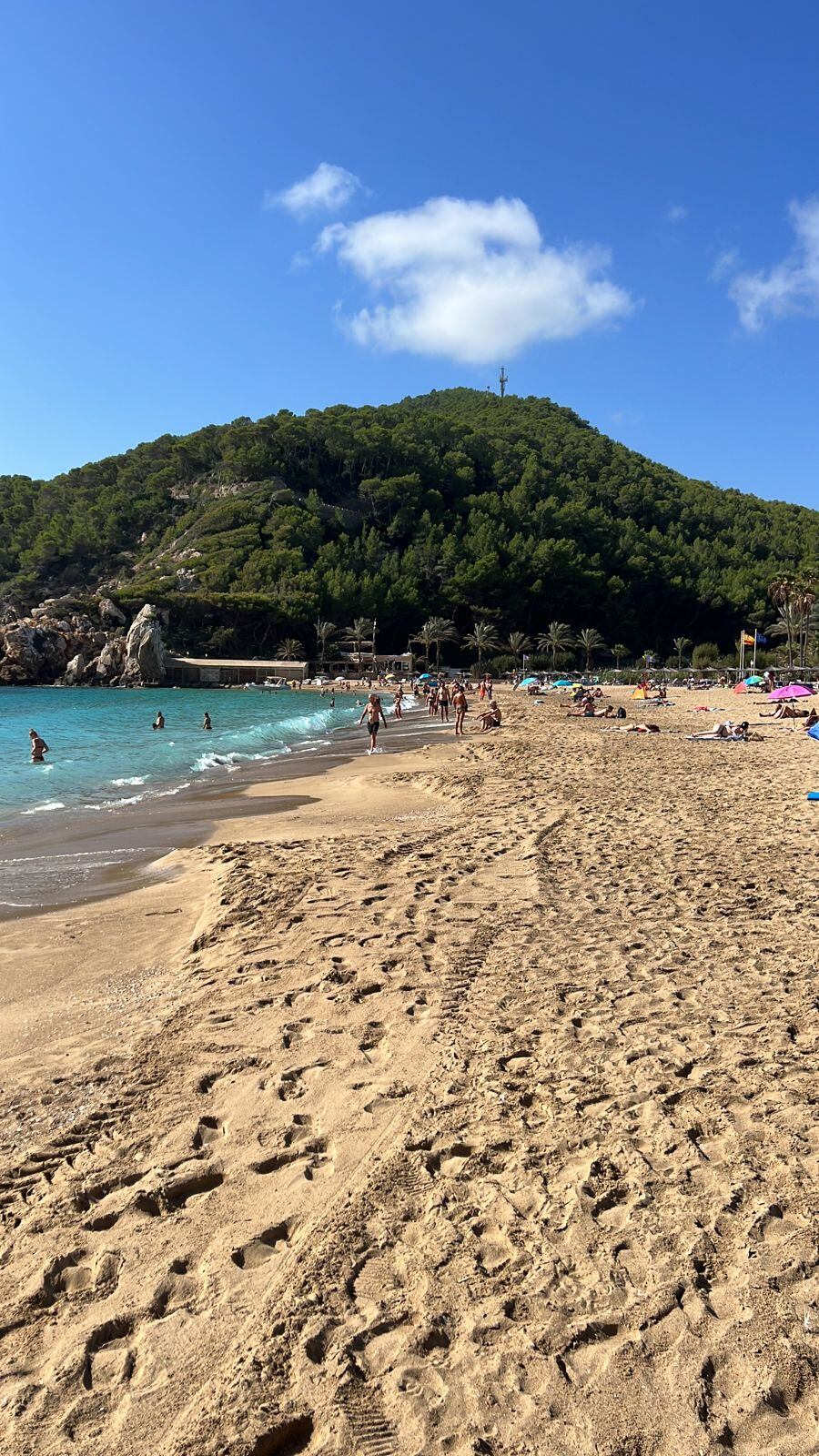 Imagen de la playa esta mañana