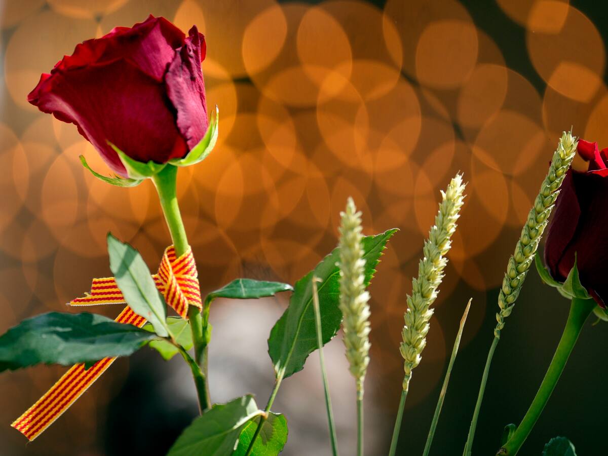 Un fisioteraupeta explica cómo trabajar la muñeca para firmar libros en Sant Jordi