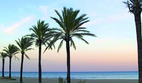 Imagen de la Playa de Gandia