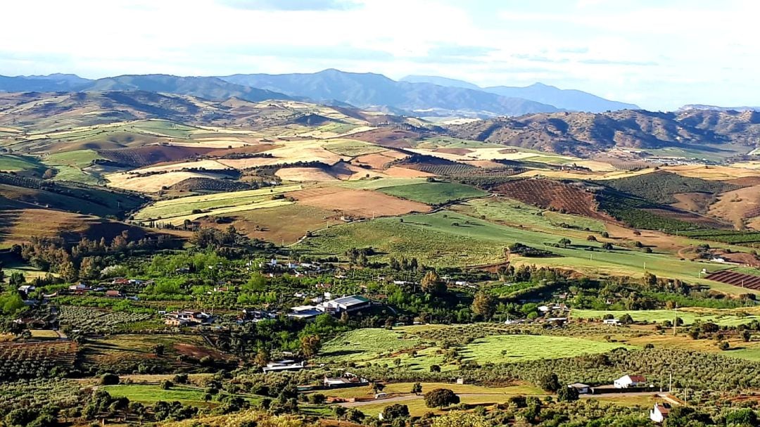 La Jara en el Valle del Guadalhorce (Málaga)