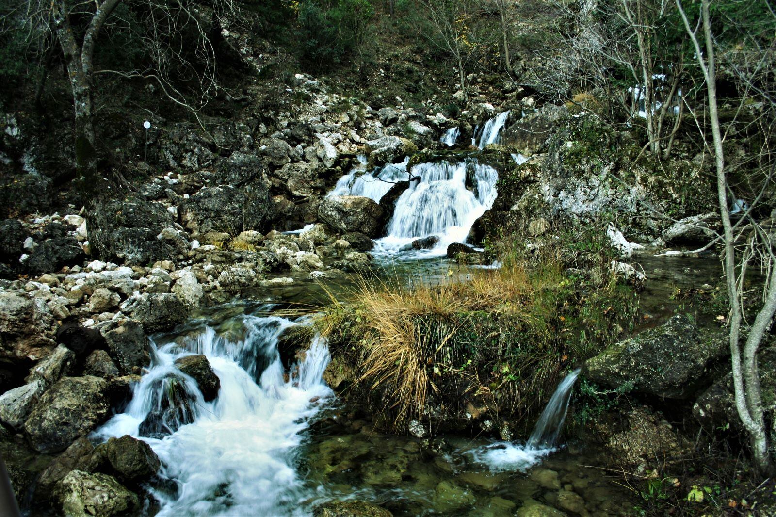 Curso alto del río Mundo