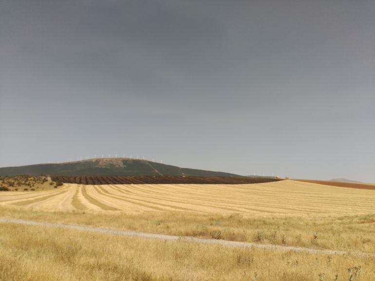 Hectáreas quemadas tras el fuego