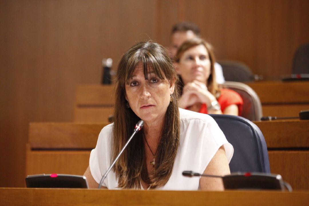 La consejera de Sanidad se ha sometido este viernes a las preguntas de la oposición