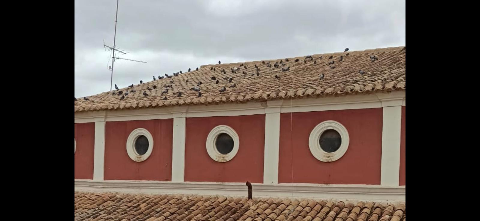 Tejado del Teatro Guerra de Lorca