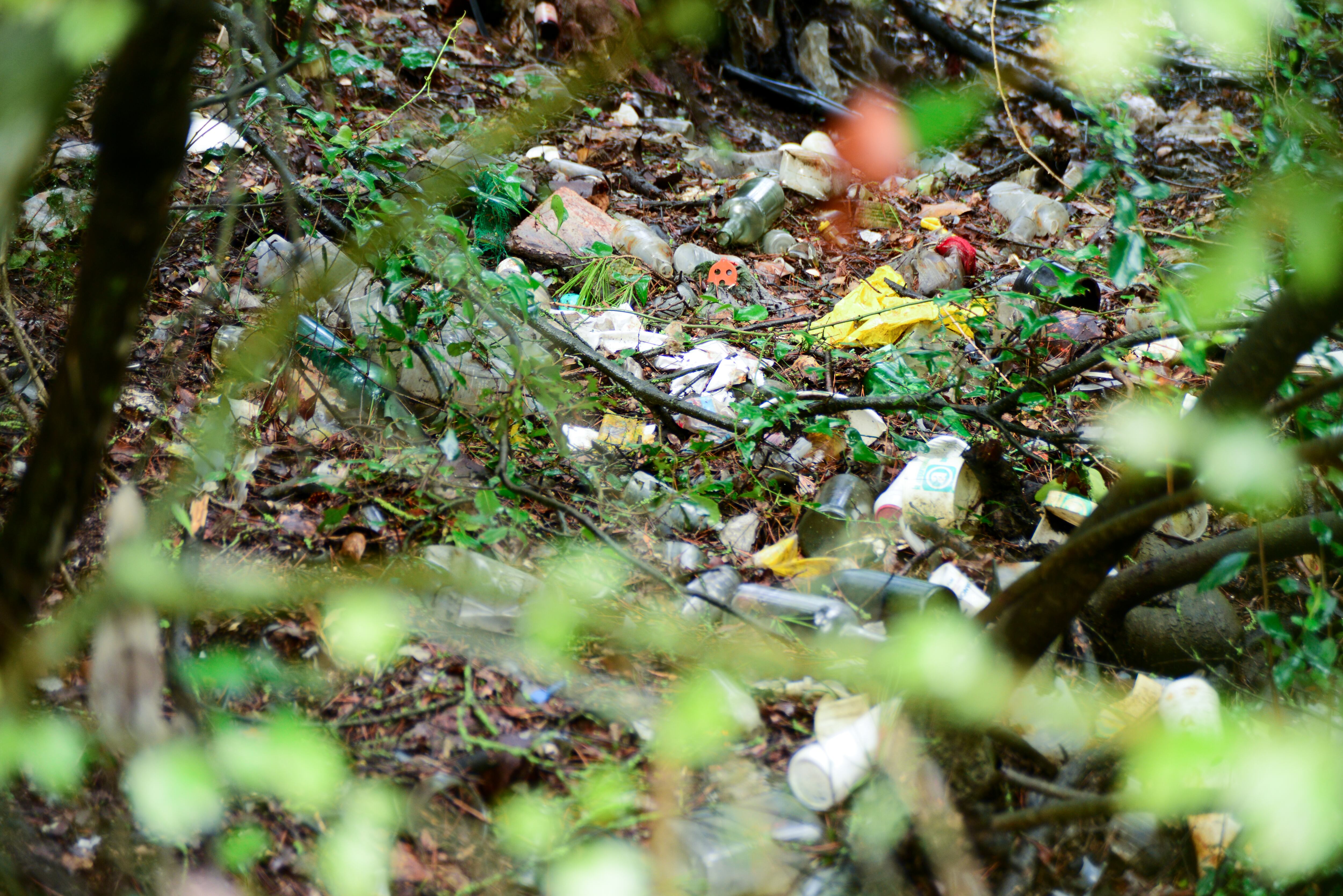 Imagen de archivo de basura en un bosque