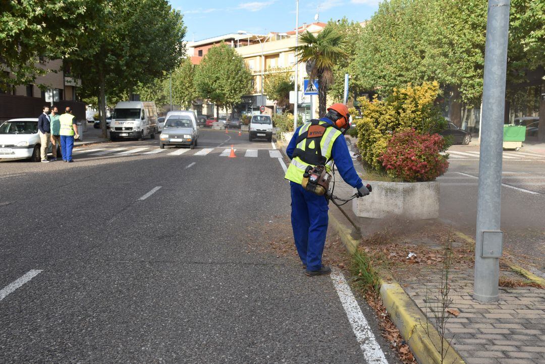 Actuaciones medioambientales