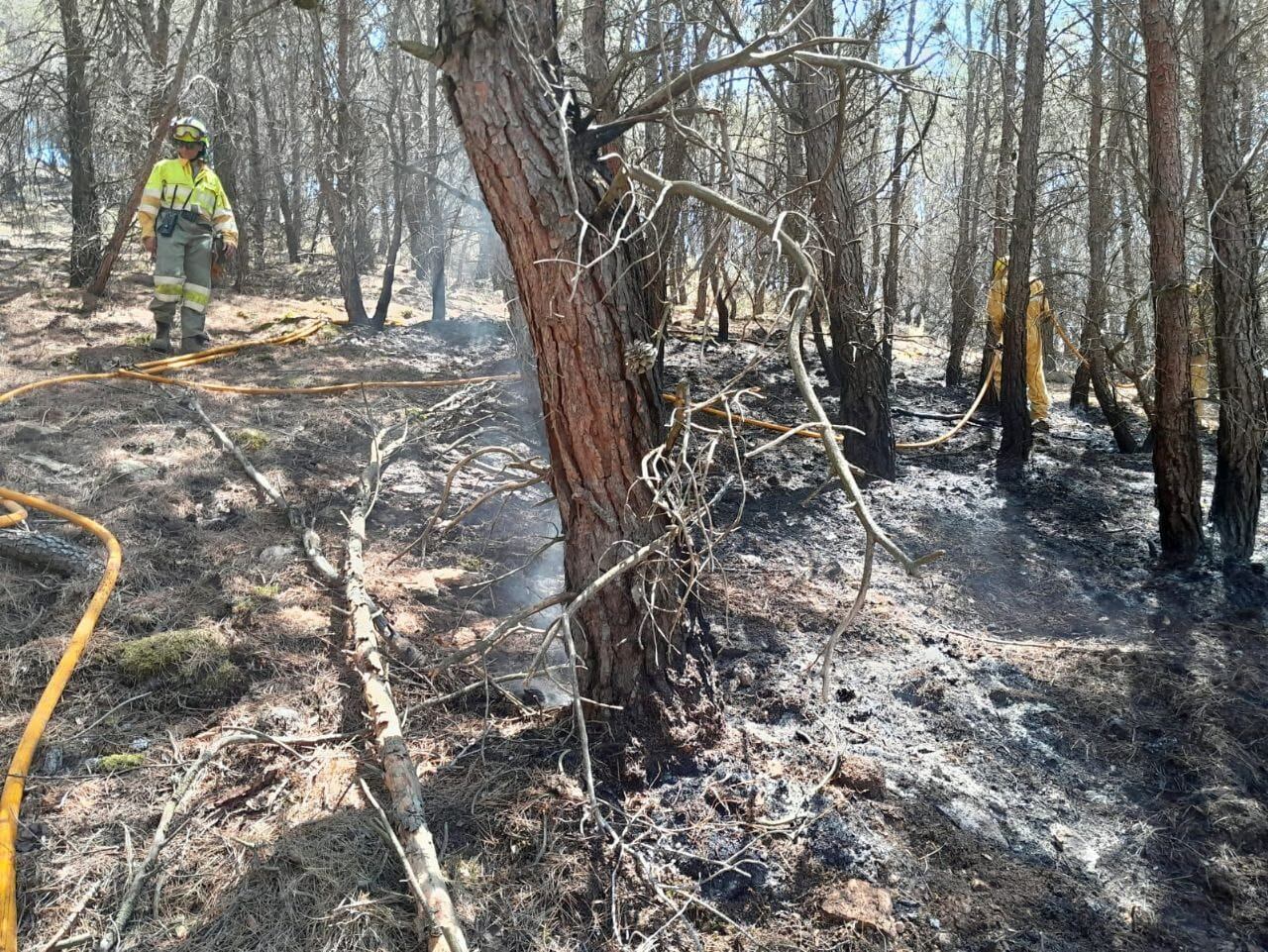 Zona calcinada en el incendio de Ateca