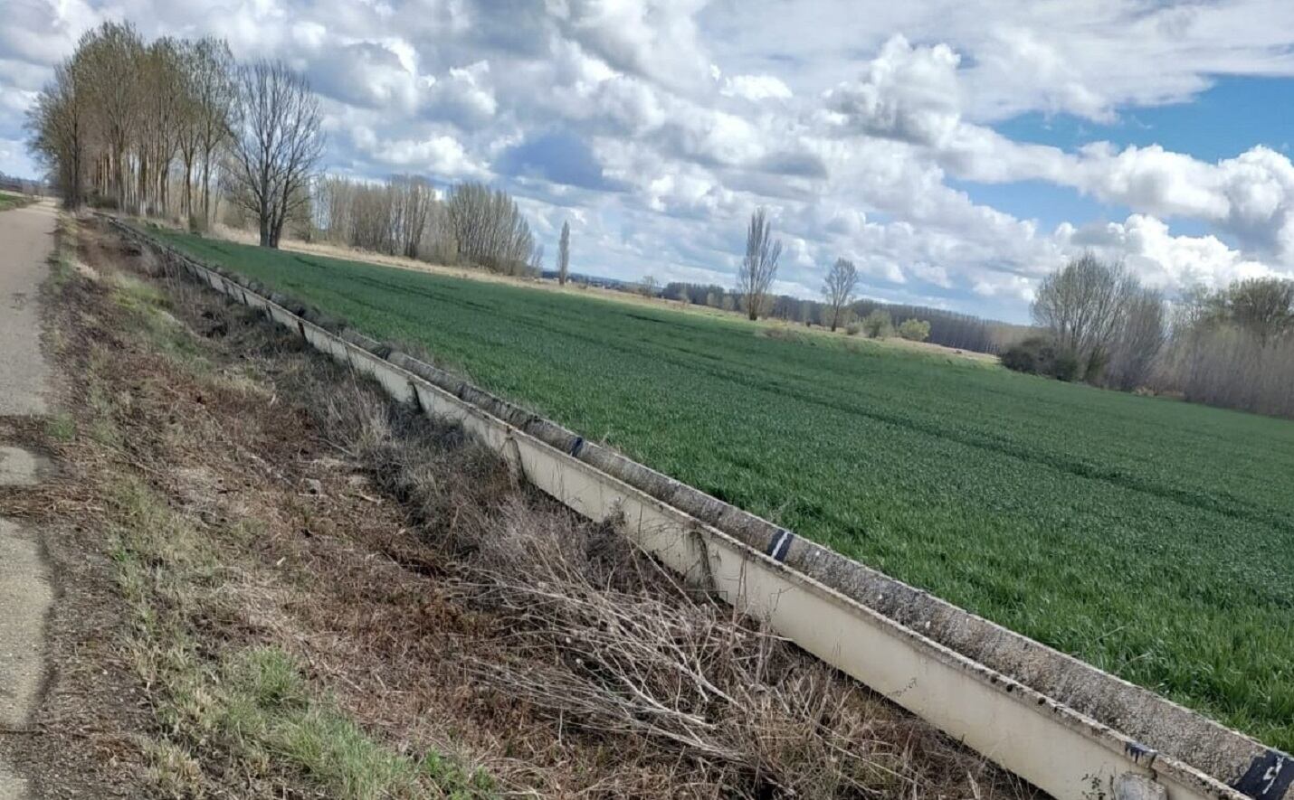 Destrucción zonas de nidificación en Tierra de Campos