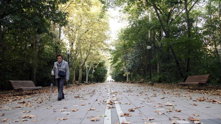 Paseo central del Campo Grande