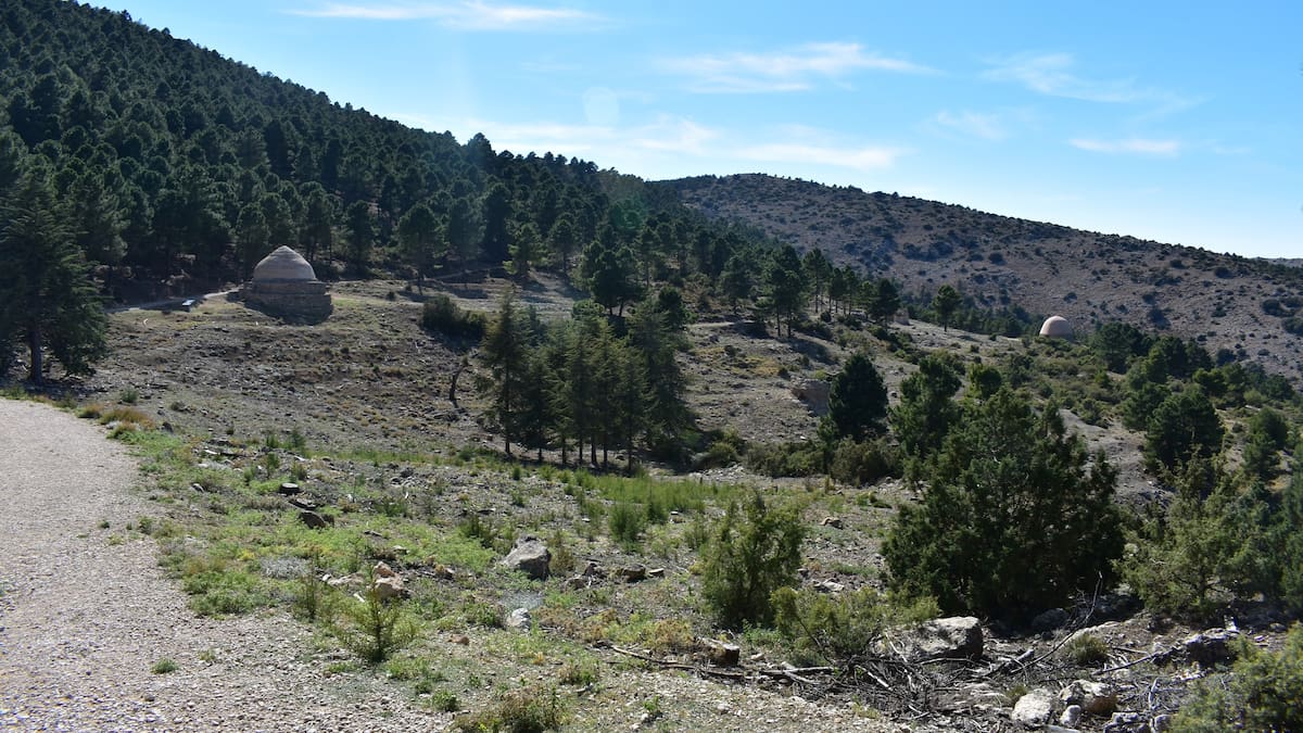 Cuaderno de Campo con Pedro Quiñonero- Sierra Espuña.