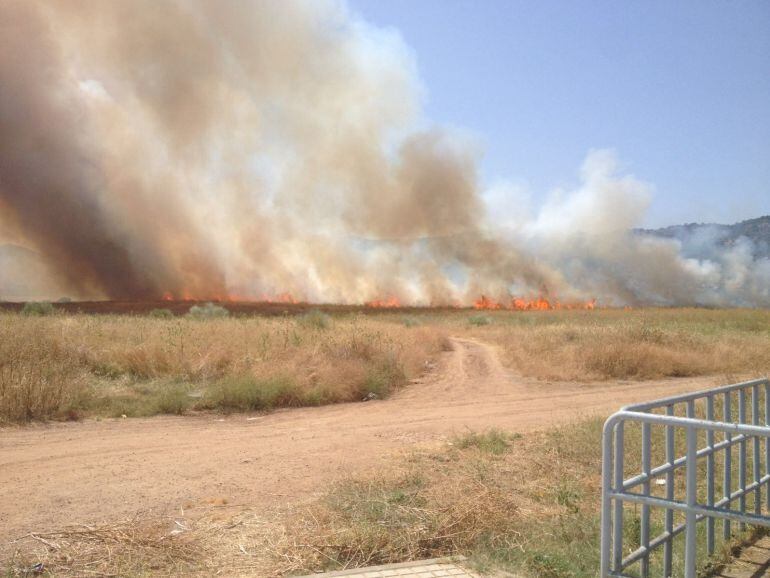El incendio provocó el miedo en los vecinos de la zona
