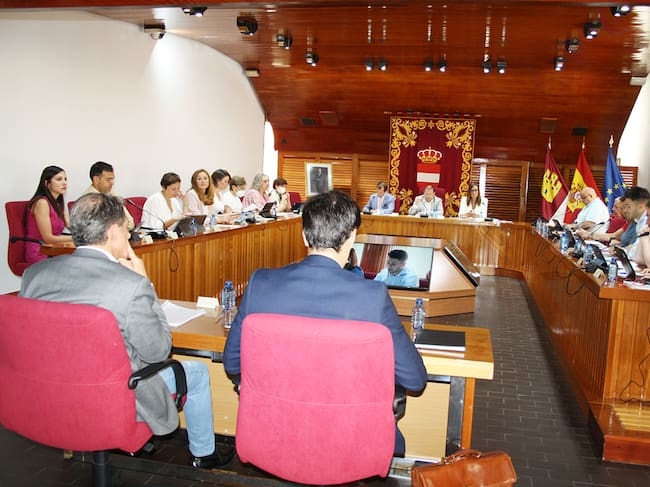 Pleno de Puertollano