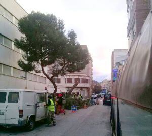 Operarios trabajando para despejar la zona