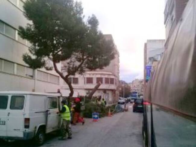 Operarios trabajando para despejar la zona