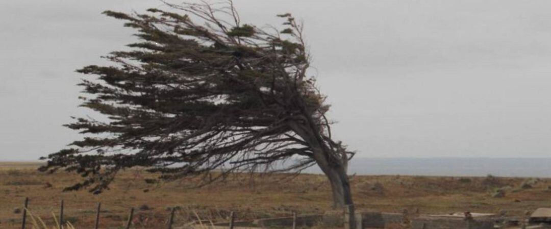 Alerta amarilla por fuertes rachas de viento también en la provincia de Palencia