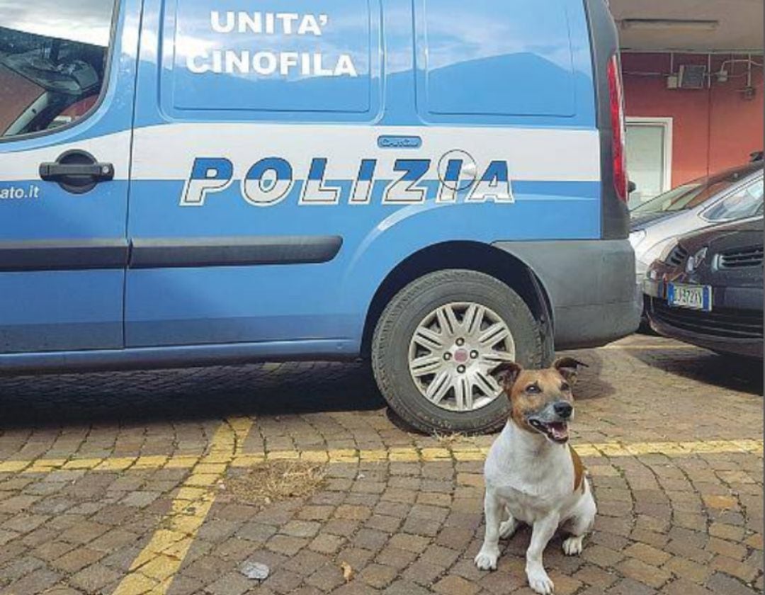 Pocho, junto al coche de Policía