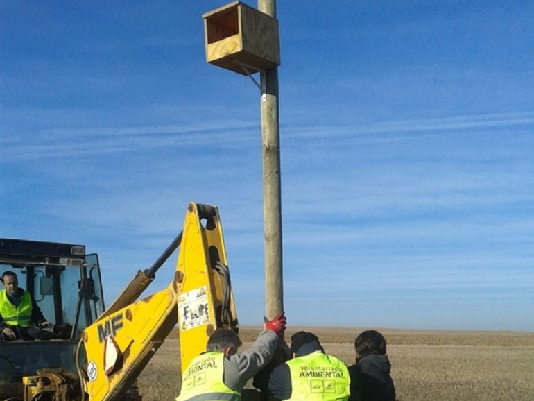 Fuentes de Nava (Palencia) apuesta por otra forma de combatir las plagas