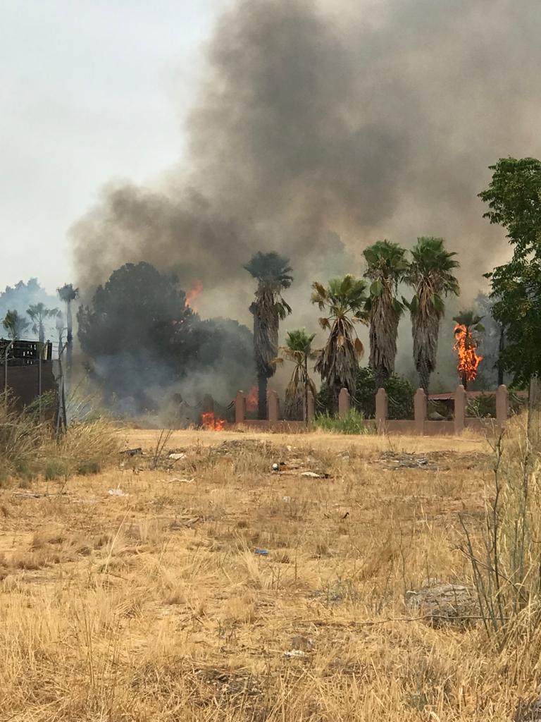 Incendio en las instalaciones de Muebles Domus en La Carlota