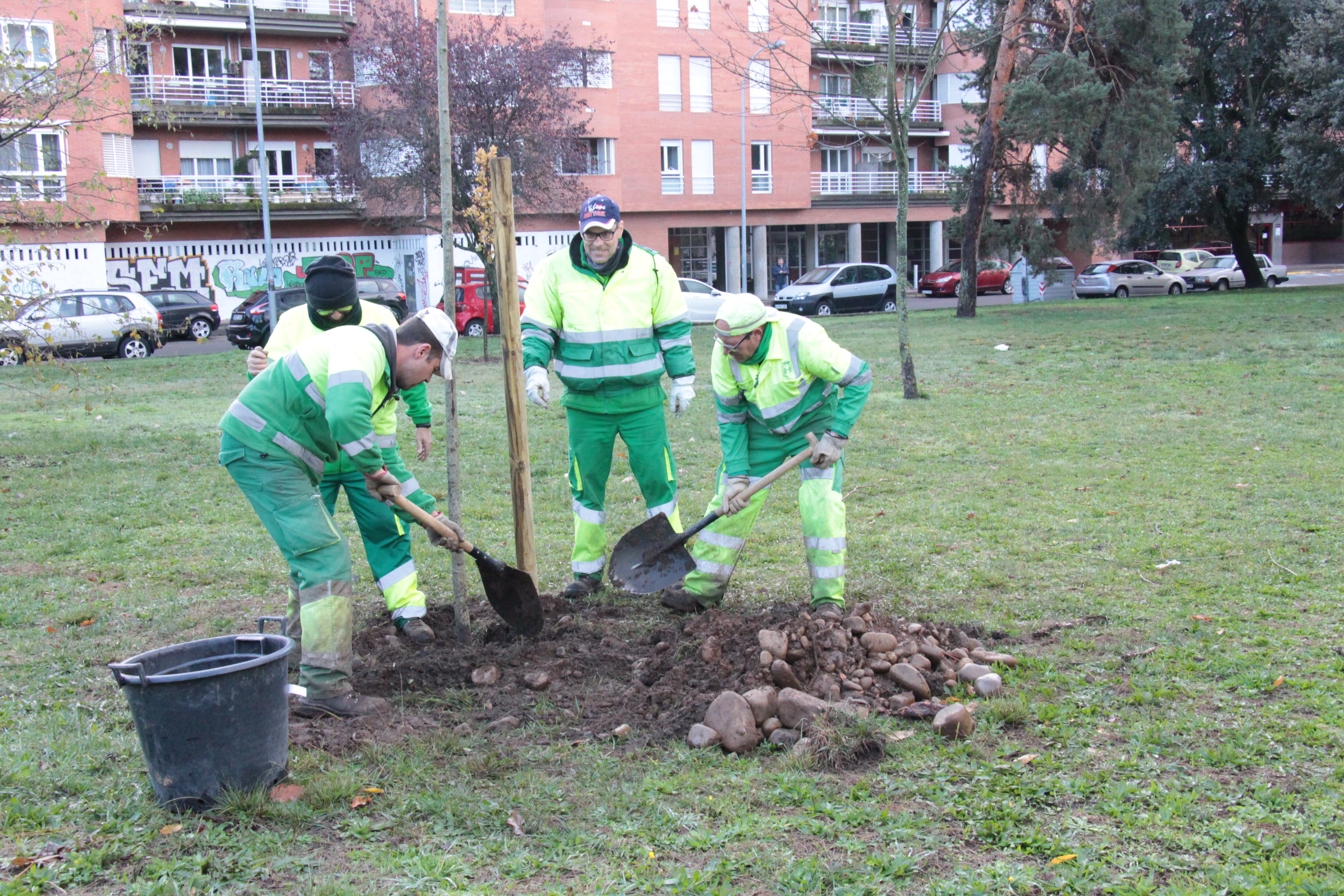 Trabajadores plantando árboles