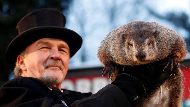 Un miembro del Club de la Marmota sostieniendo a la marmota Phil, el animal meteorólogo más famoso del mundo, durante la celebración del Día de la Marmota.