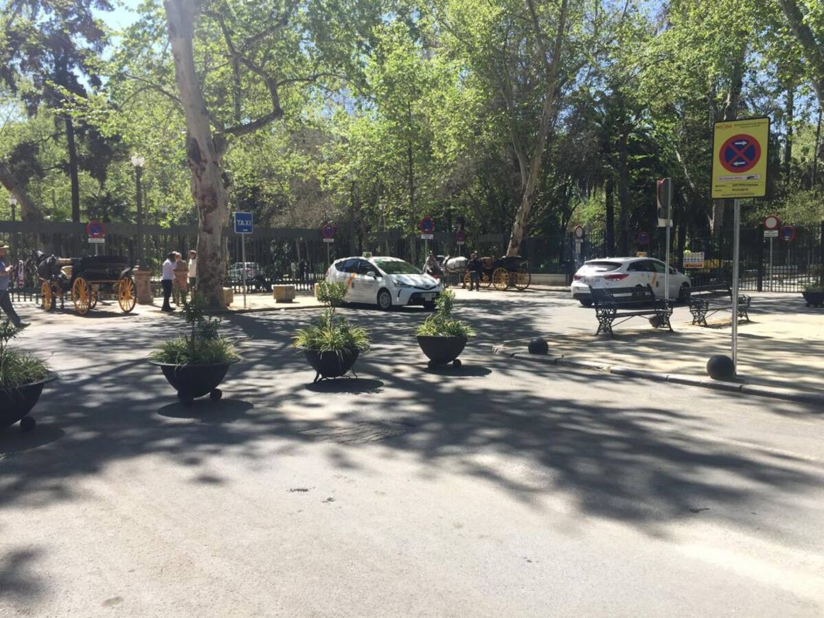 Cómo acceder al centro y Triana cuando entren en vigor las restricciones de tráfico
