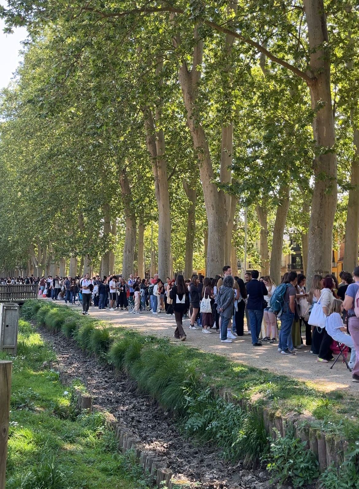 Cues per un càsting de Disney