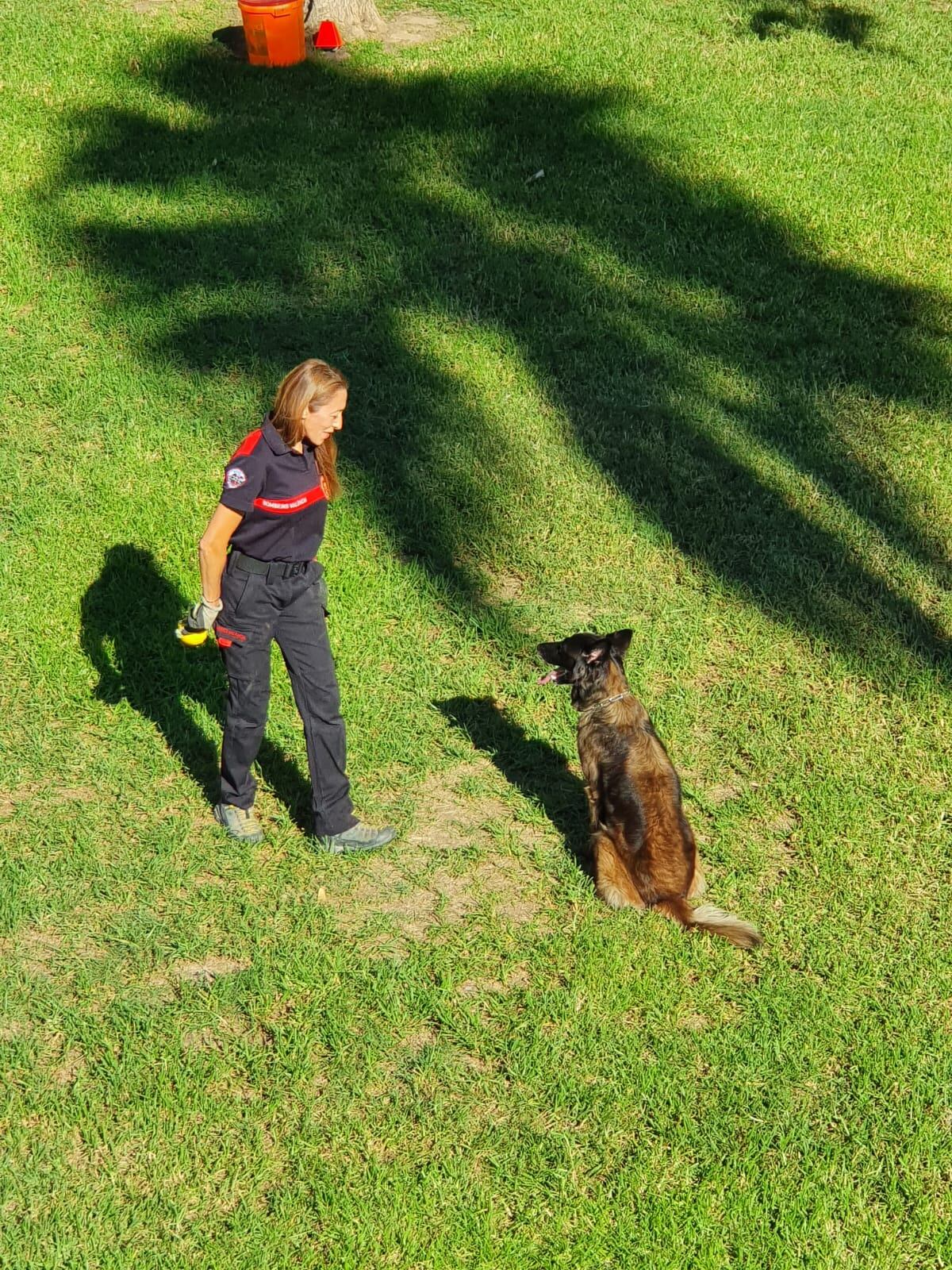 VII edición de la Feria Animalista de València