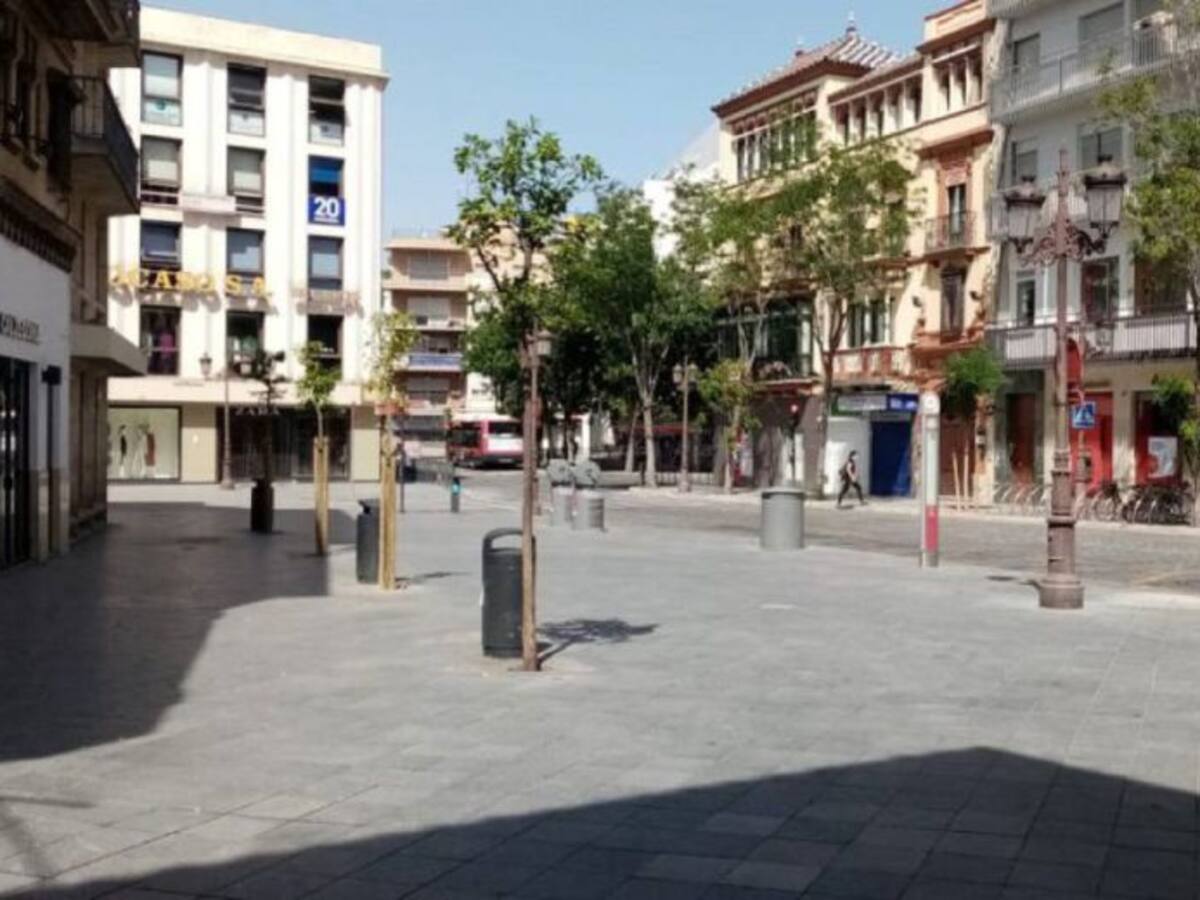 El Ayuntamiento resolverá el contrato de los toldos para instalar sombra en las paradas de la campana