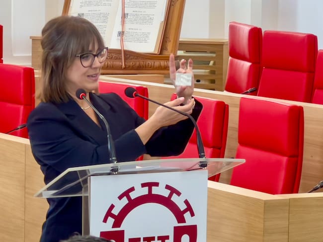 Sello Conjuntos Urbanos Patrimonio de la Humanidad. Mérida