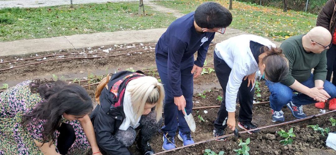 Huerto ecológico