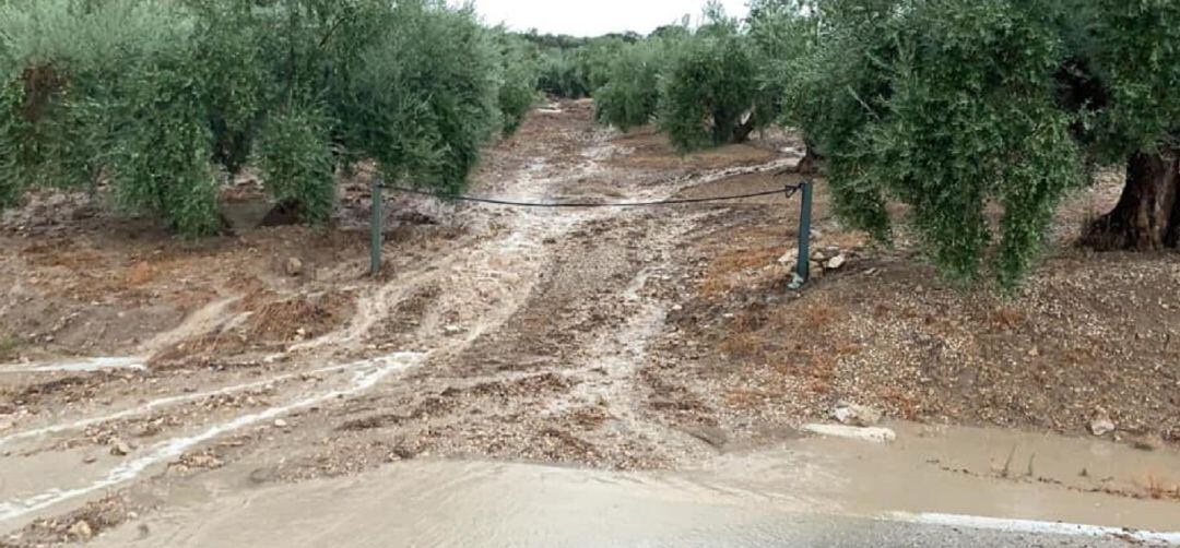 Destrozos del último temporal en un camino rural y una carretera de Torres.