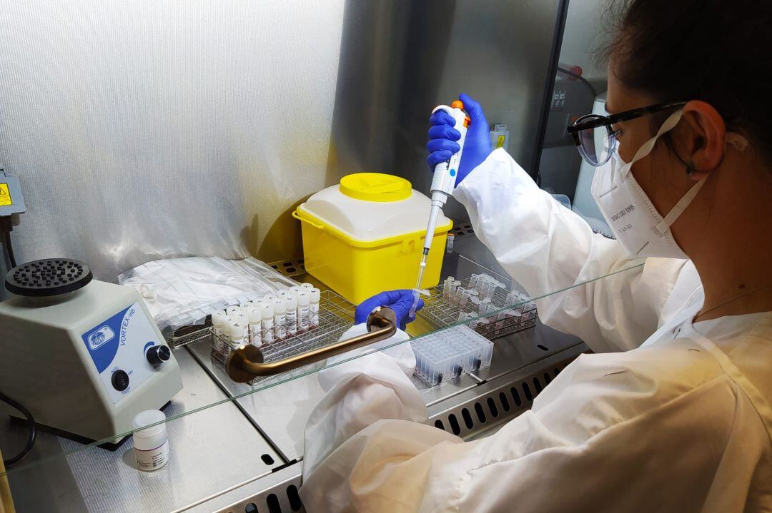 Profesional sanitario procesa muestras de PCR