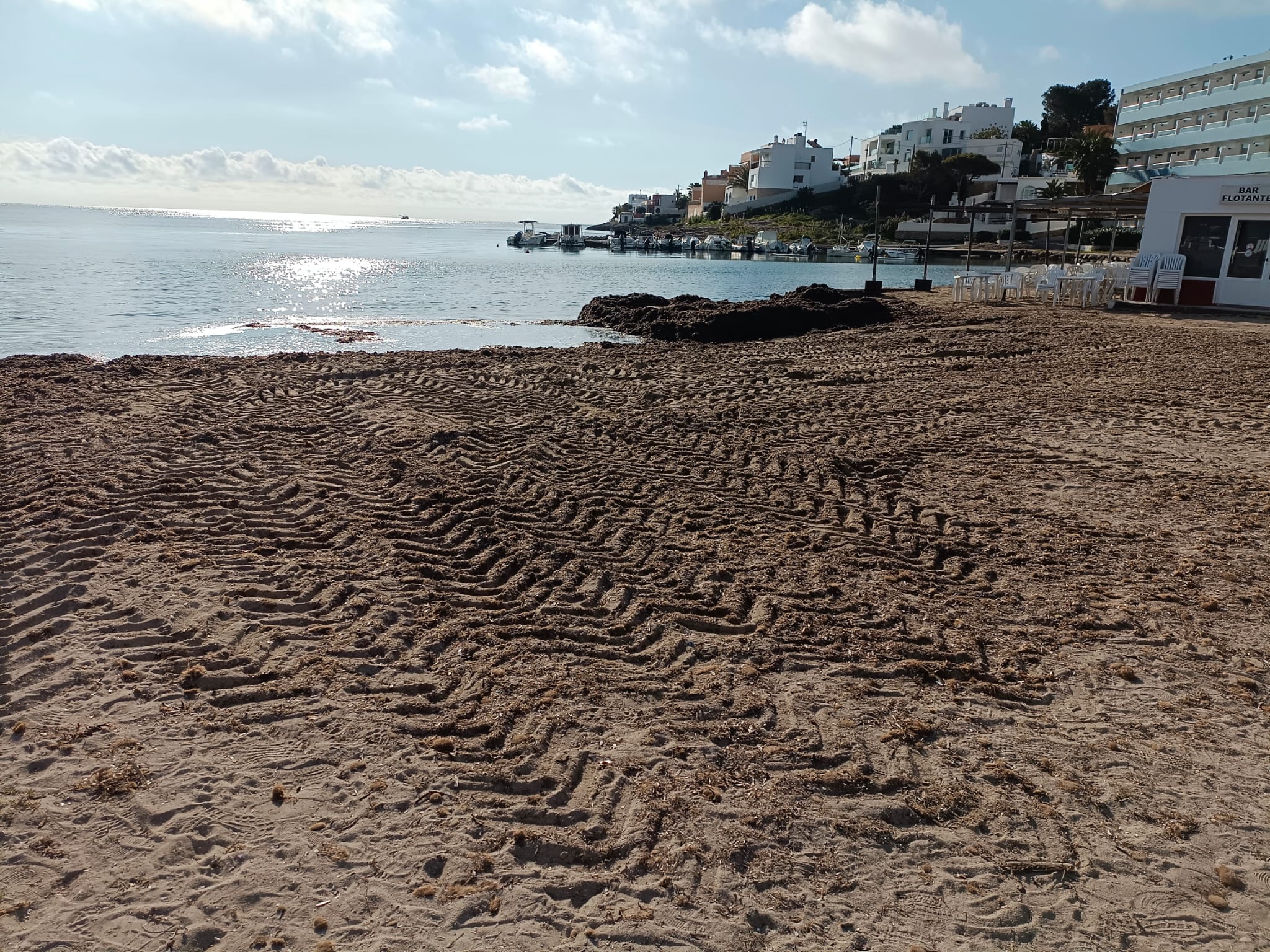 Un momento durante los trabajos