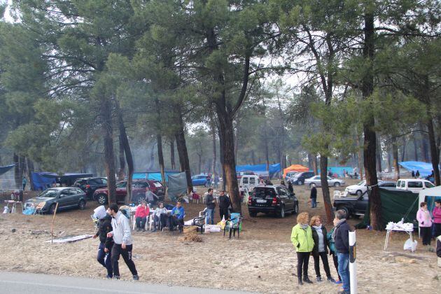 Ambiente en los pinares de Cuéllar