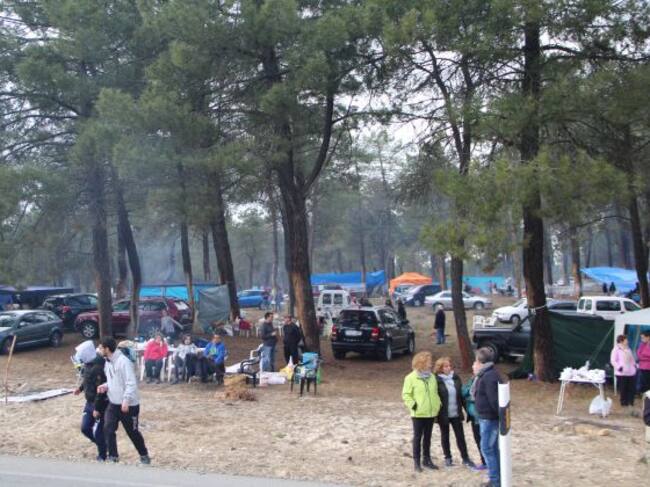 Ambiente en los pinares de Cuéllar