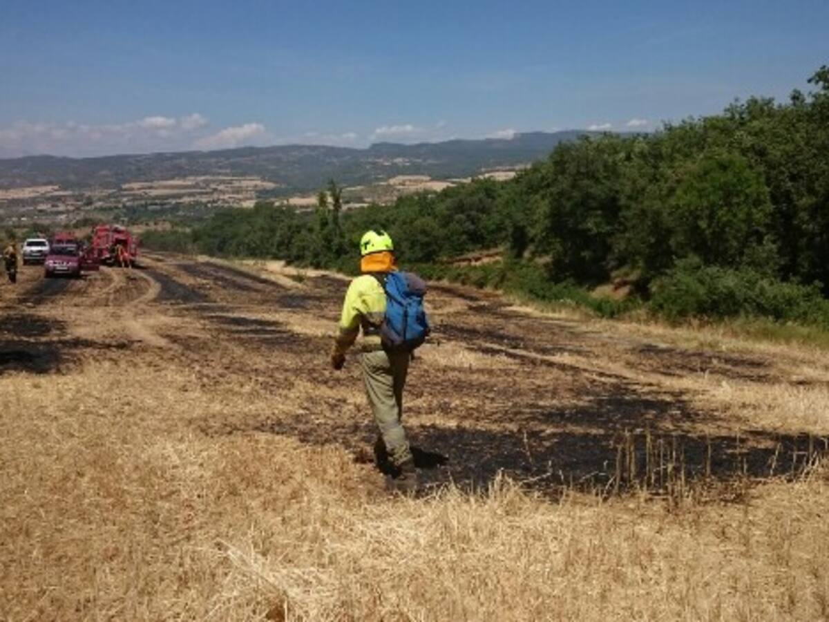 ¿Quién es el responsable de los incendios?