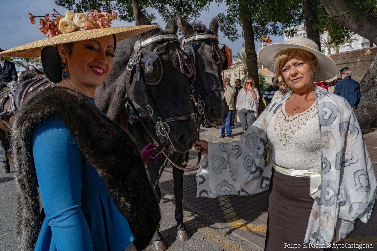 Puesta de largo de los enganches de tradición en Cartagena