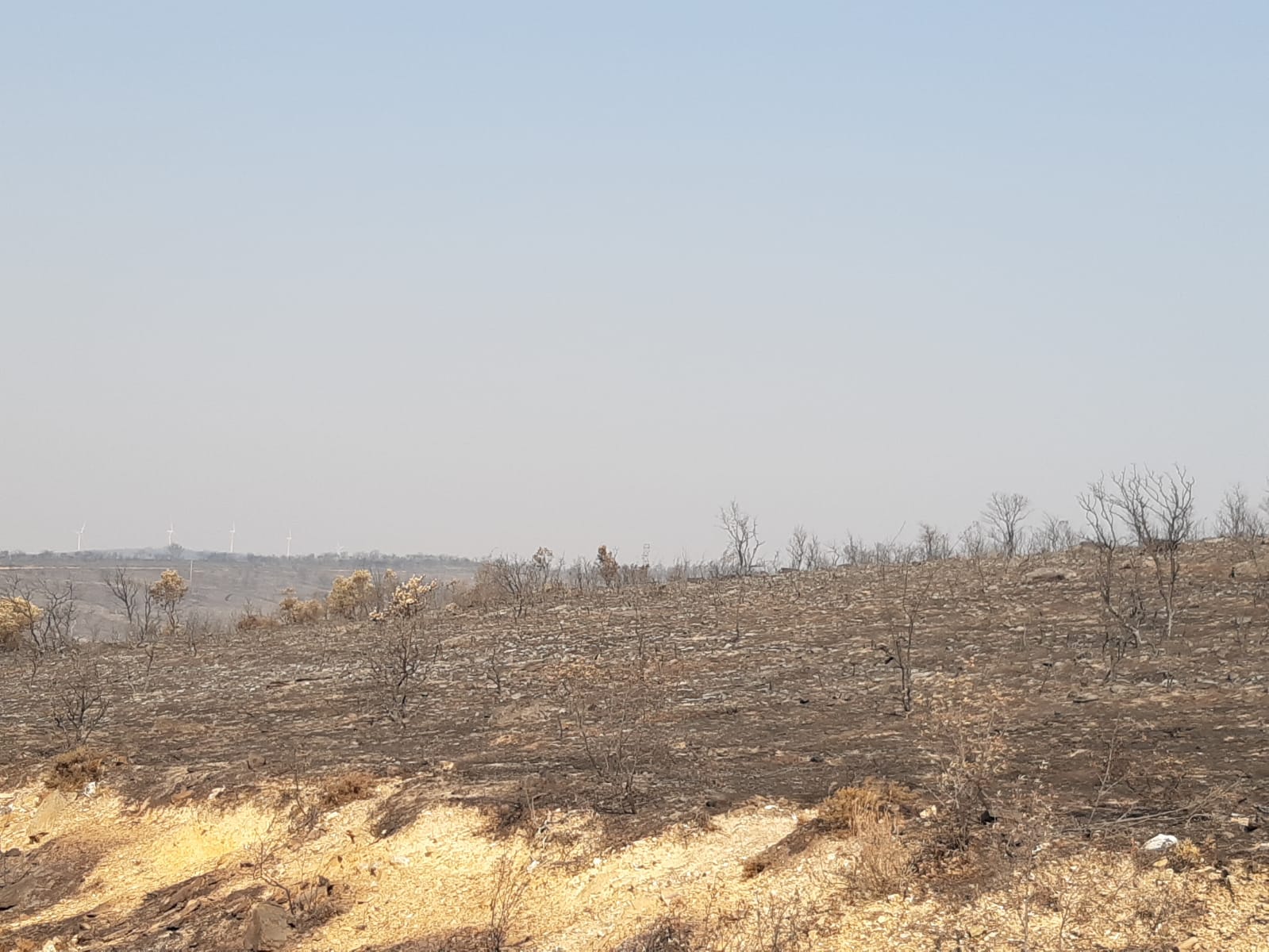 Uno de los paisajes quemados en la comarca de Tábara