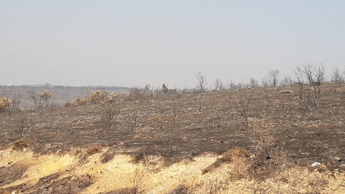 El incendio de Losacio baja a nivel 1