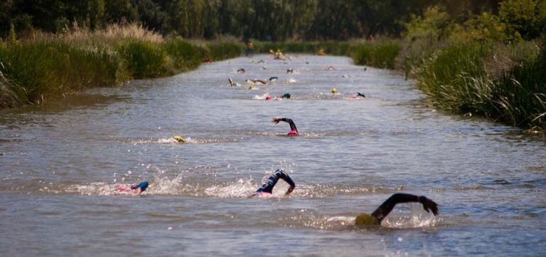 Participantes del "I Circuito de Travesías a Nado Diputación de Palencia"