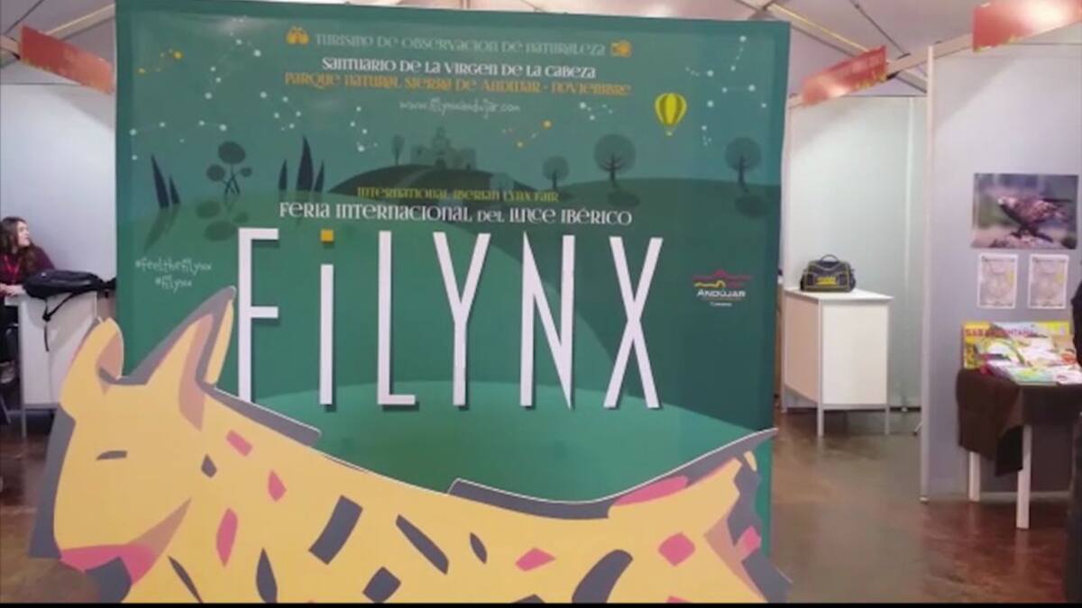 La Mesa del Turismo de Andújar acuerda que la II Feria Internacional del Lince Ibérico FILYNX se celebre en 2020