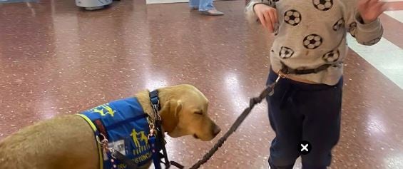 Prohíben a un niño con autismo entrar con su perro de asistencia a un centro comercial.