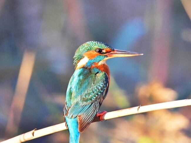 Primer premio del concurso