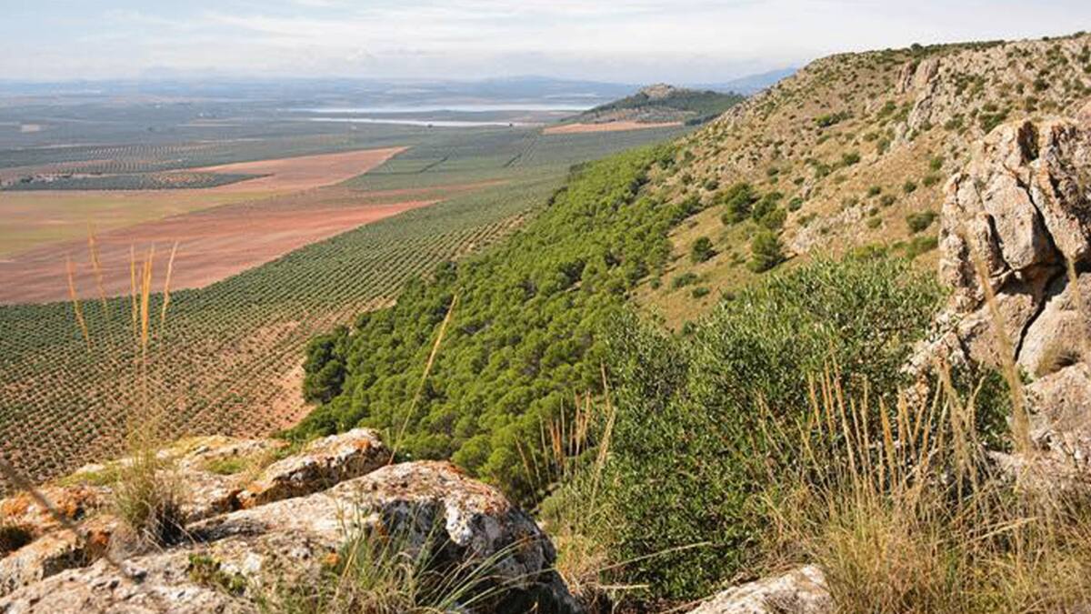 Entrevista Auxiliadora Gámez sobre la recogida de firmas para la limpieza de La Sierrecilla
