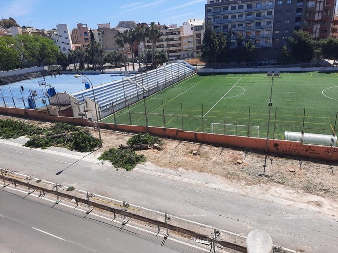 Vista general de cómo ha quedado la zona donde estaban plantadas 72 melias