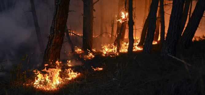 El incendio, que ha afectado desde la tarde del sábado a unas 100 hectáreas de los municipios ourensanos de Verín y Vilardevós, permanece activo pero estabilizado